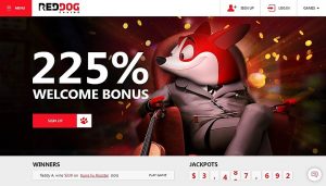  Red Dog Casino Welcome Bonus